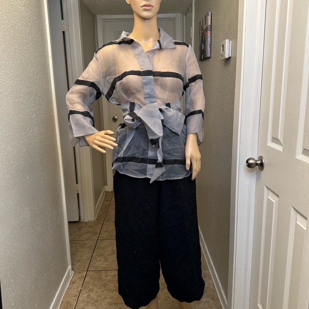 Jarbo belted organza blouse silver stripe Sz 1 NWT Retail: $ 438 - Picture 11 of 15